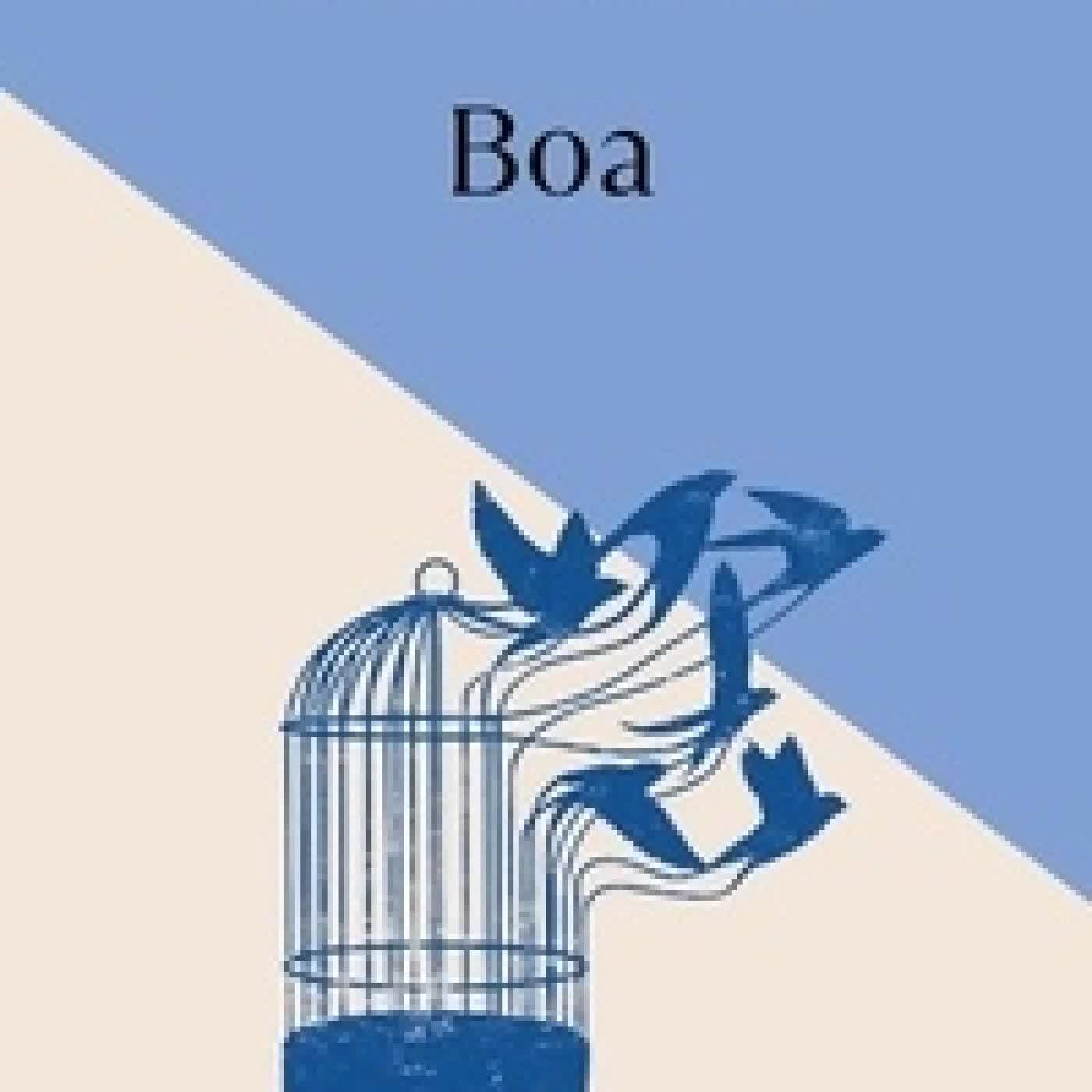 Télécharger Pdf Boa