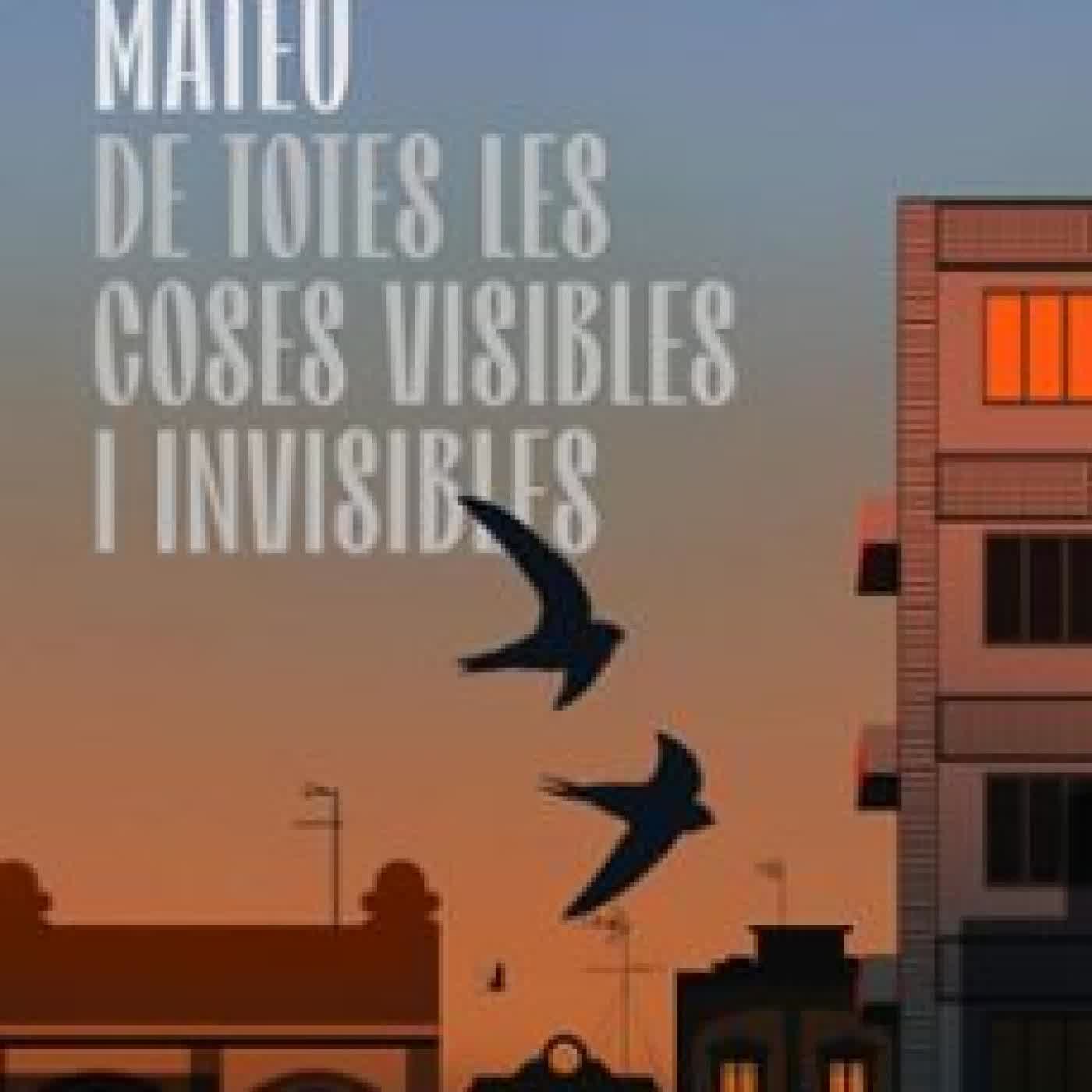 DE TOTES LES COSES VISIBLES I INVISIBLES Ferran Sáez Mateu