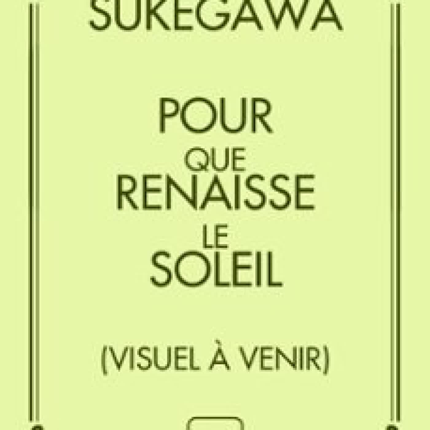 POUR QUE RENAISSE LE SOLEIL Durian Sukegawa