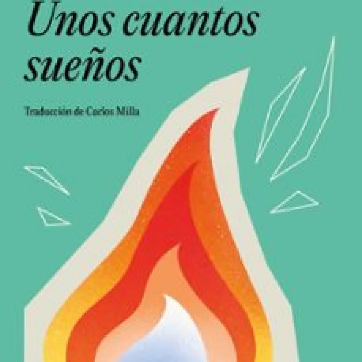 UNOS CUANTOS SUEÑOS Chimamanda Ngozi Adichie