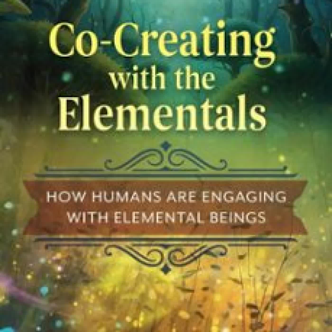 CO-CREATING WITH THE ELEMENTALS THOMAS MAYER