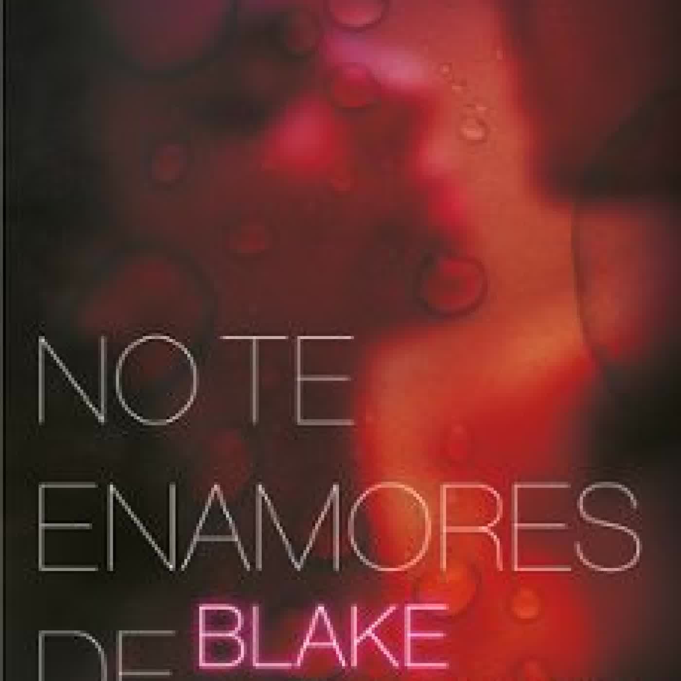 NO TE ENAMORES DE BLAKE ANDERSON (HERMANOS ANDERSON 1)
