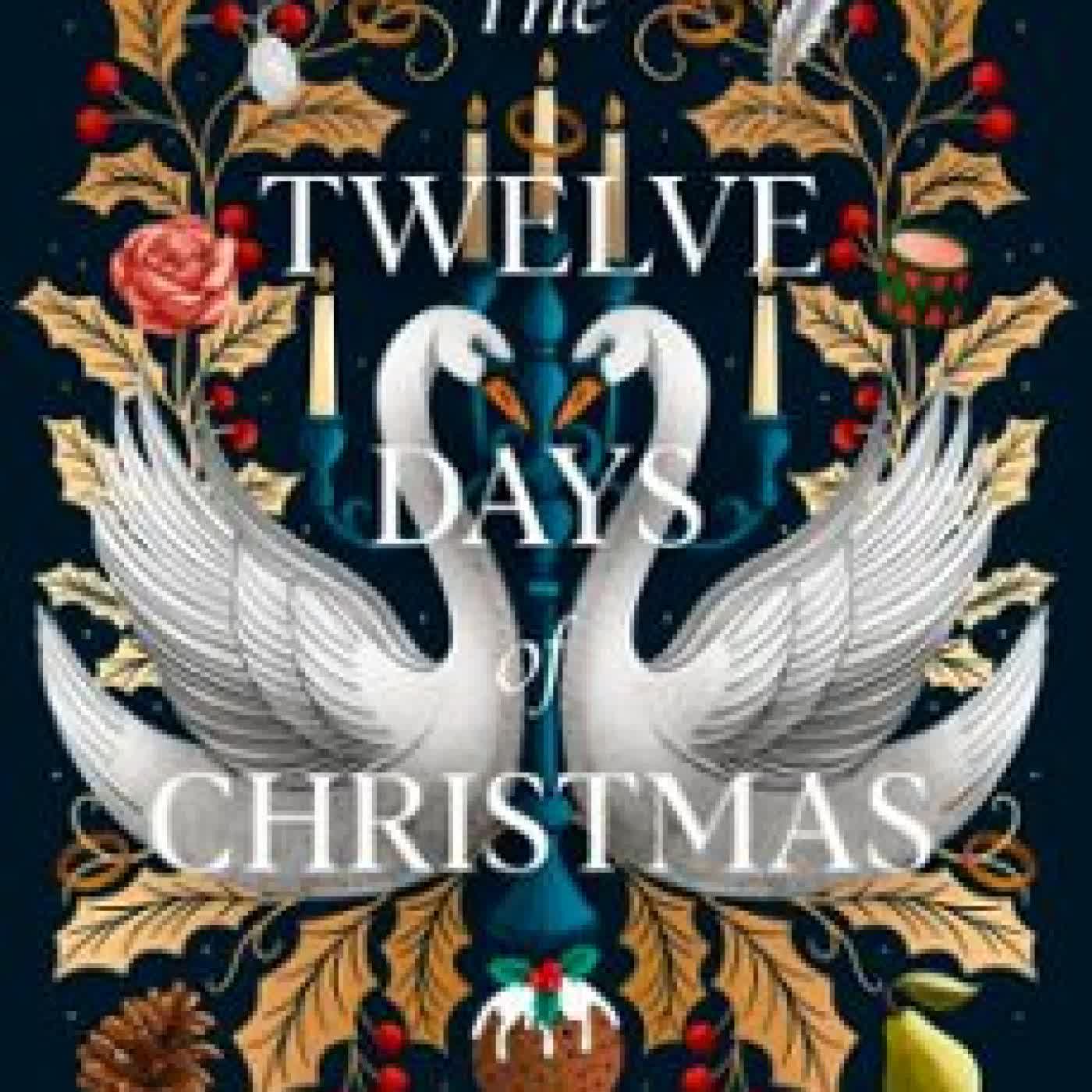 THE TWELVE DAYS OF CHRISTMAS SUSAN STOKES-CHAPMAN