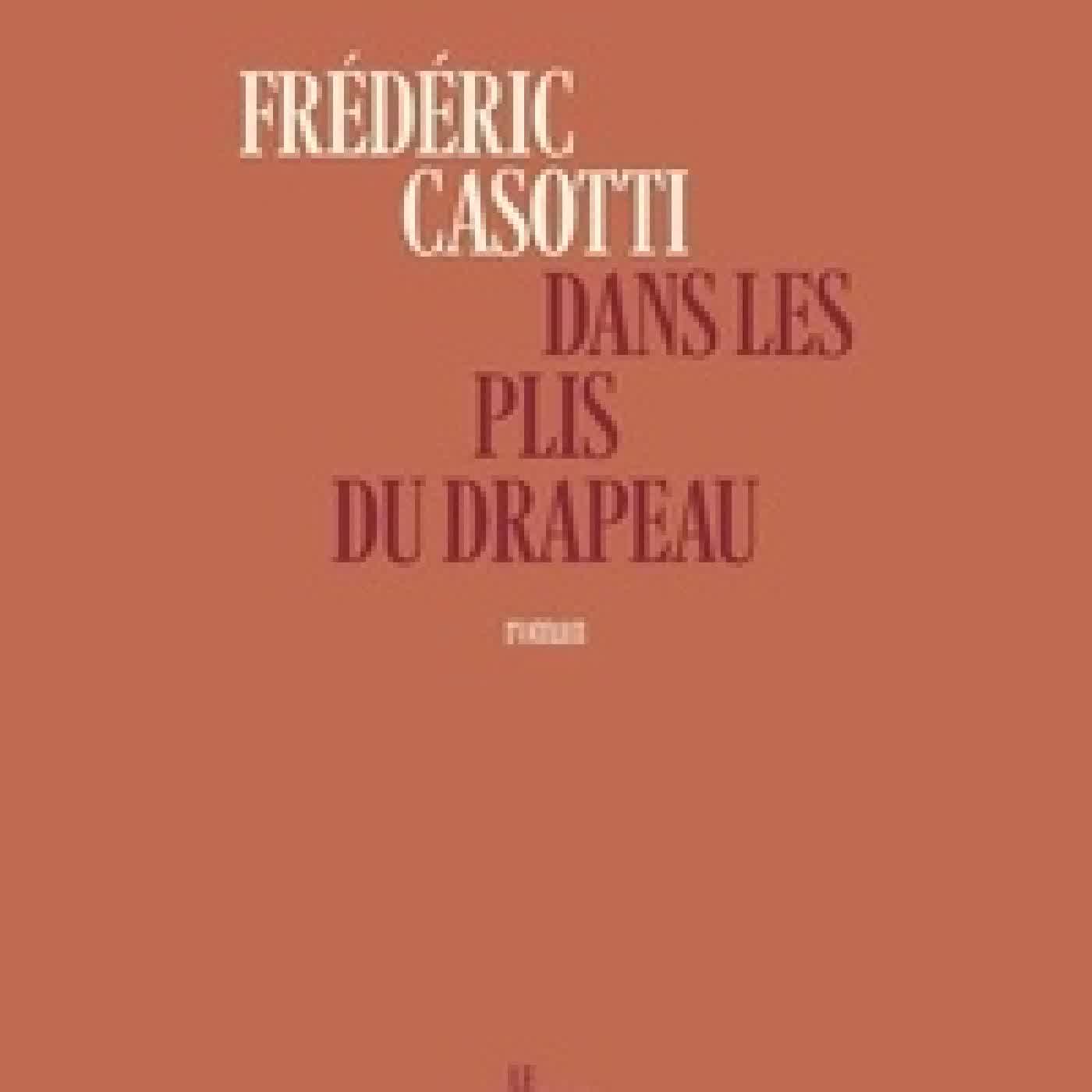 Lire en ligne : Dans les plis du drapeau