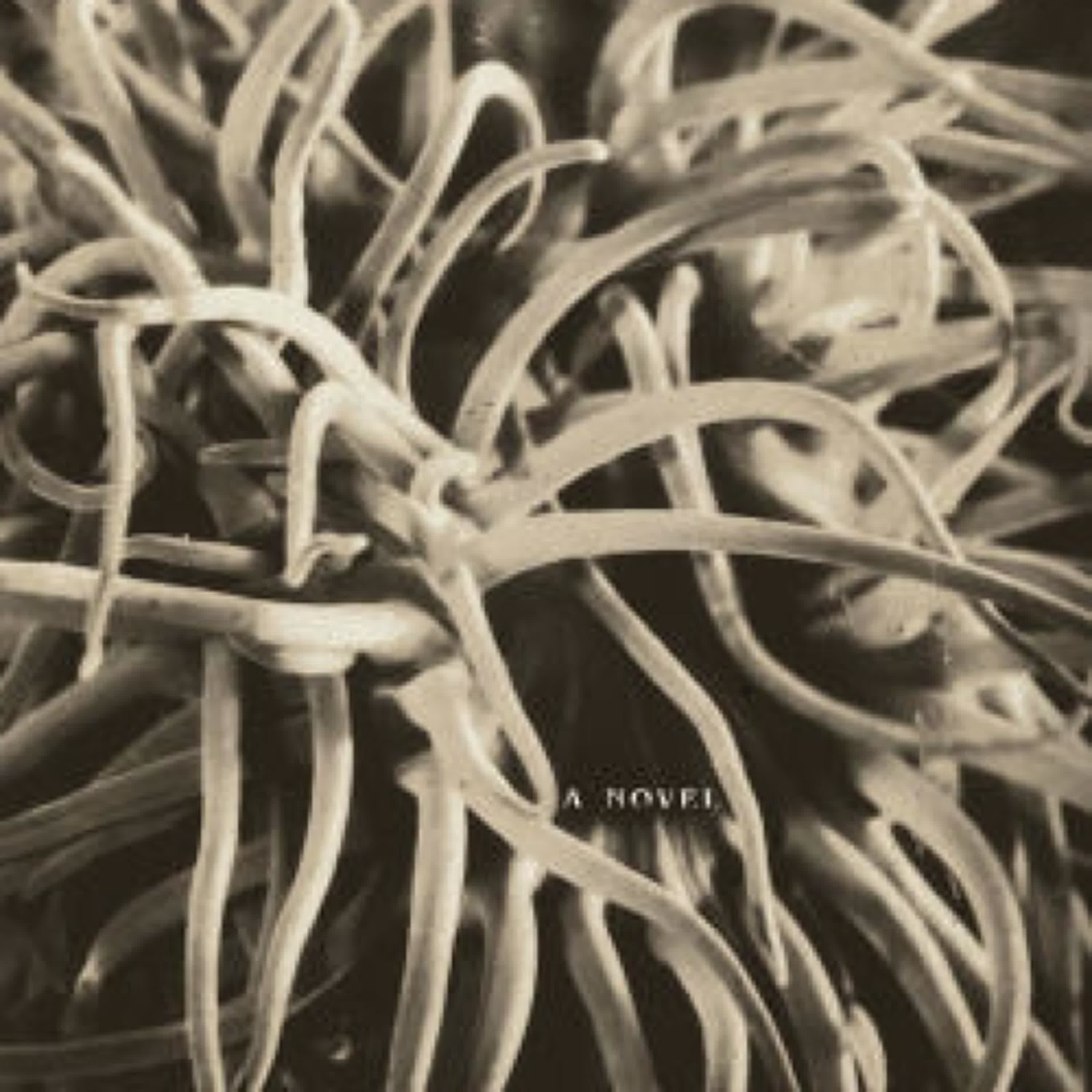 Little Neck by Darcie Dennigan on Iphone New Format