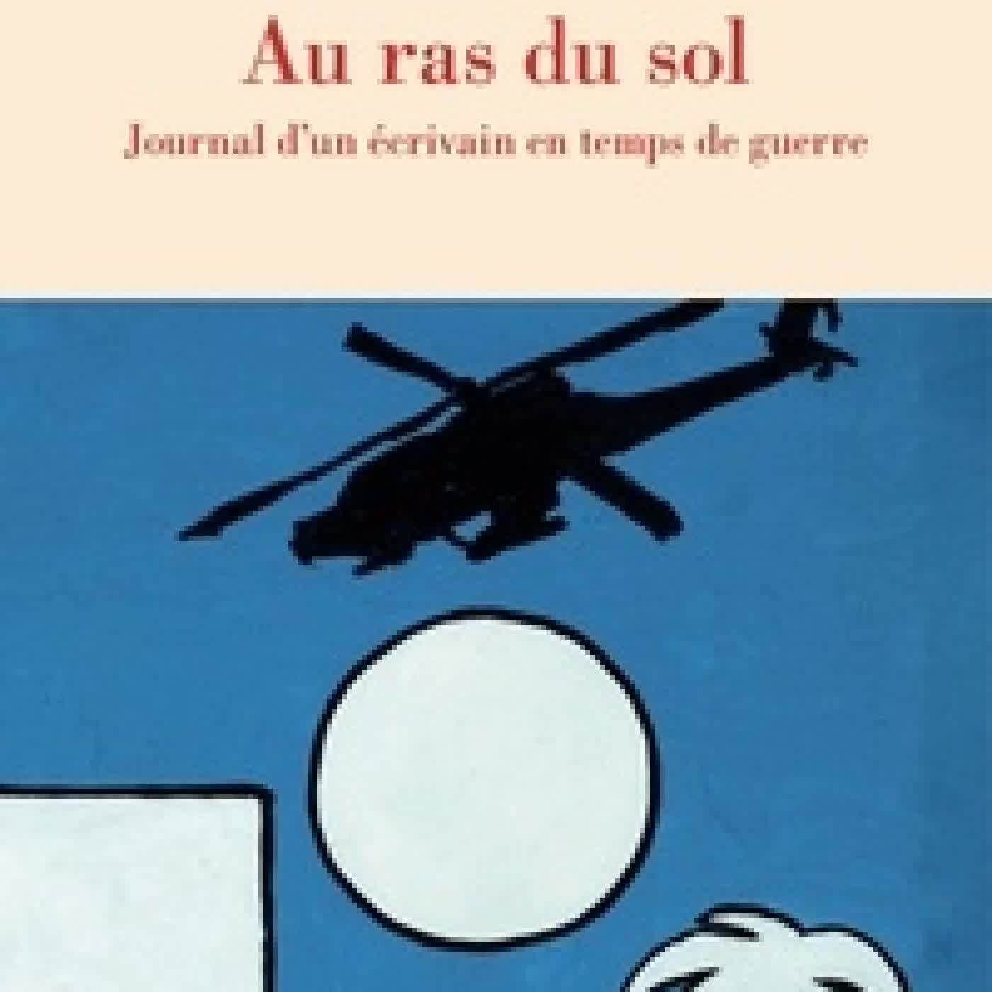 Télécharger Pdf Au ras du sol - Journal d'un écrivain en temps de guerre