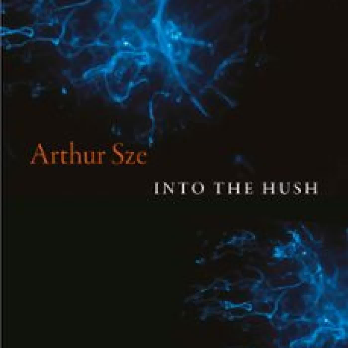 INTO THE HUSH ARTHUR SZE