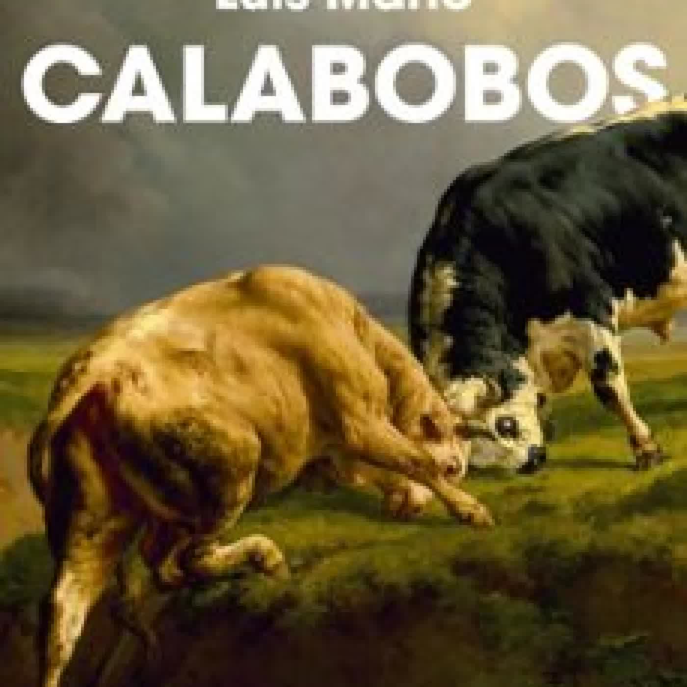 CALABOBOS LUIS MARIO