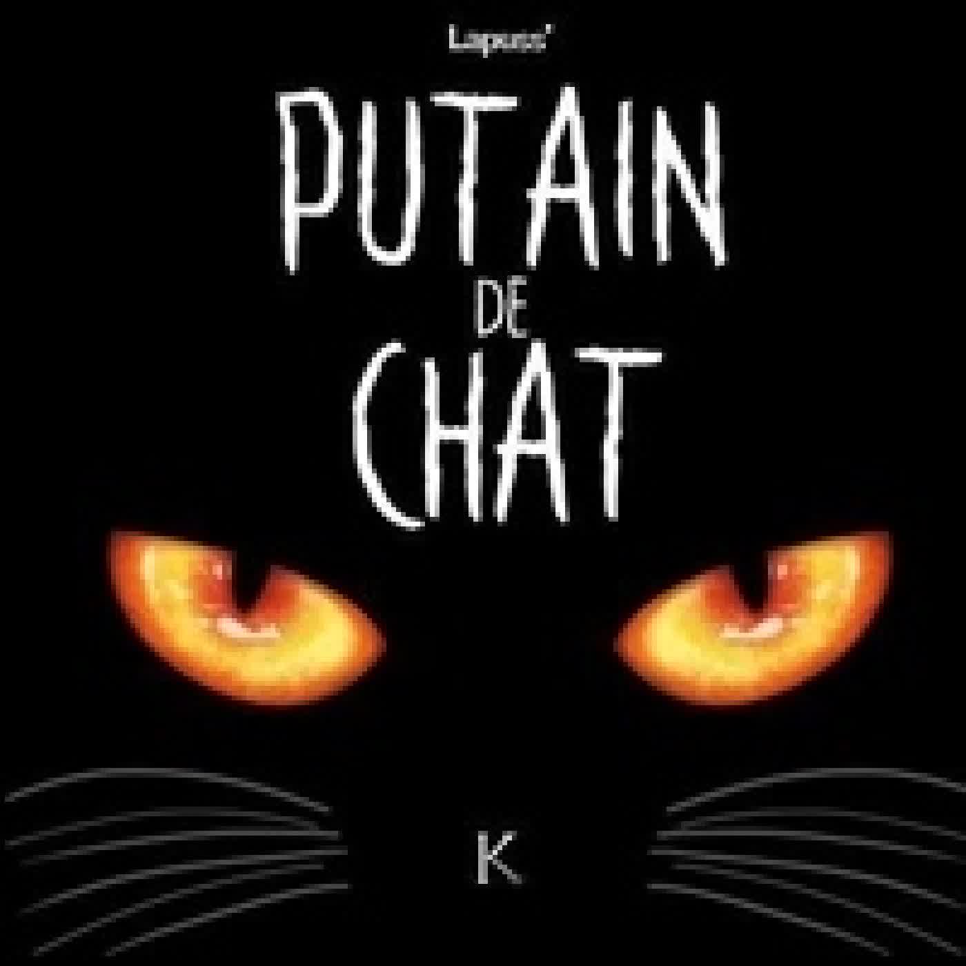 {téléchargement} Putain de chat T01