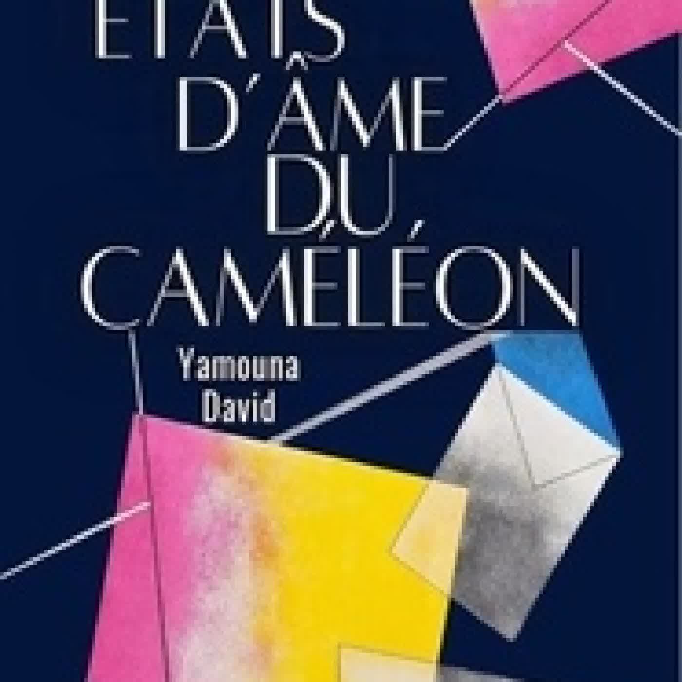 Télécharger Pdf Les états d’âme du caméléon