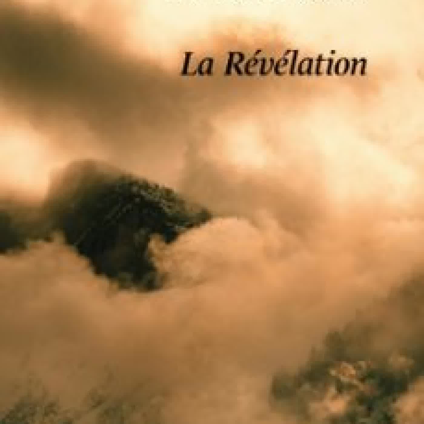 LA RÉVÉLATION PIERRE OLIVIER DESAUTOURRE