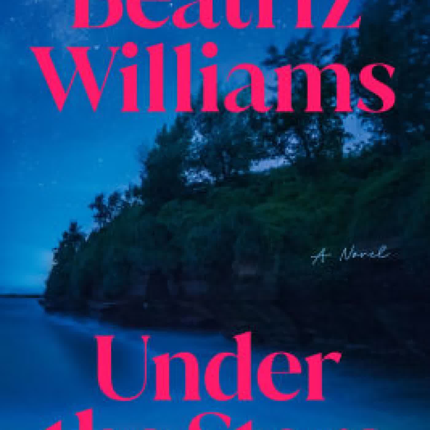 Under the Stars: A Novel by Beatriz Williams on Iphone New Format