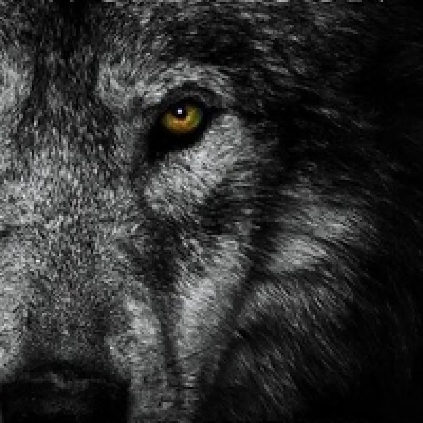 Télécharger Pdf Wolf Moon - Bud Simpson's "Moon", #3