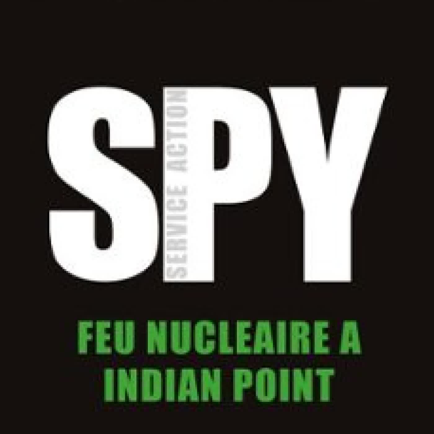 FEU NUCLÉAIRE À INDIAN POINT MICHEL BEHAR