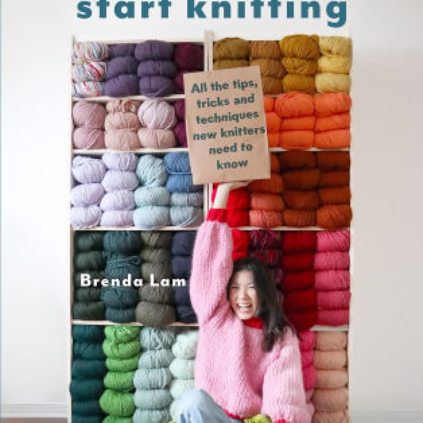 How to Start Knitting: All the tips, tricks, and techniques new knitters need to know by Brenda Lam on Iphone New Format
