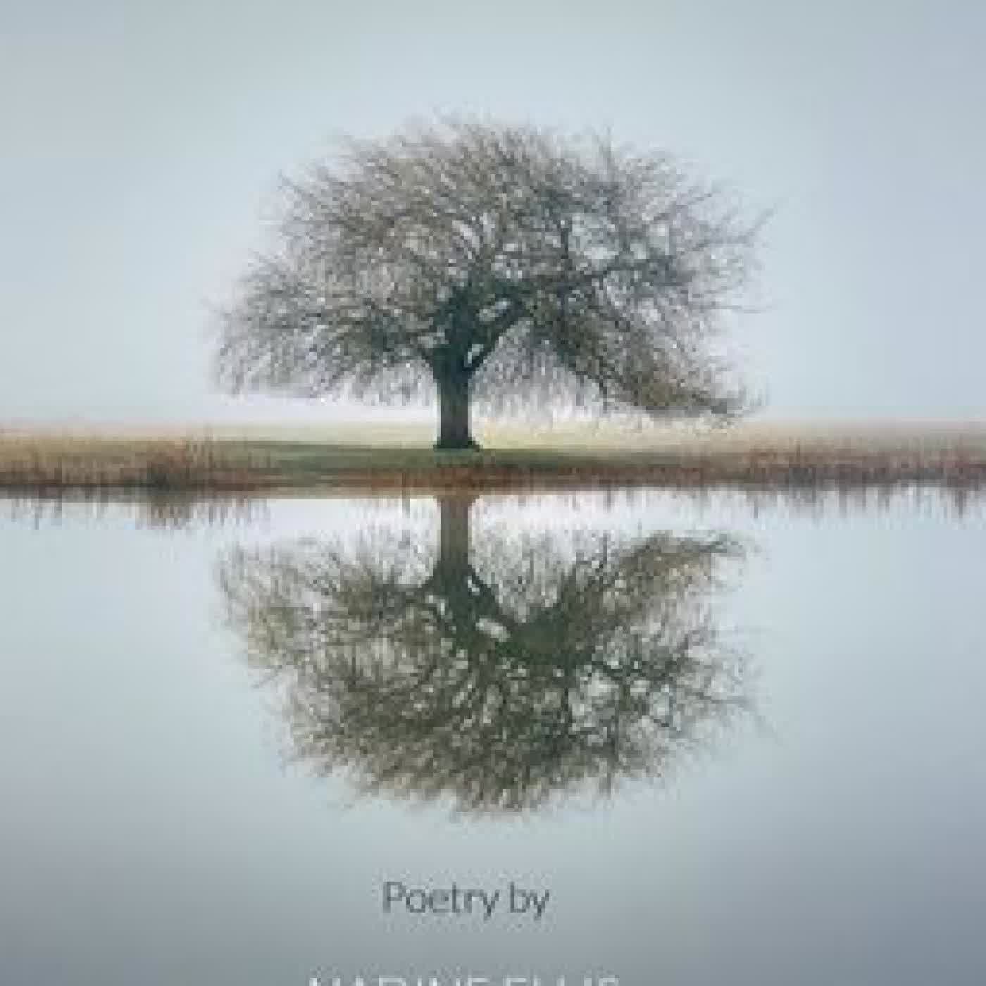 The Grey Between by Nadine Ellis on Iphone New Format