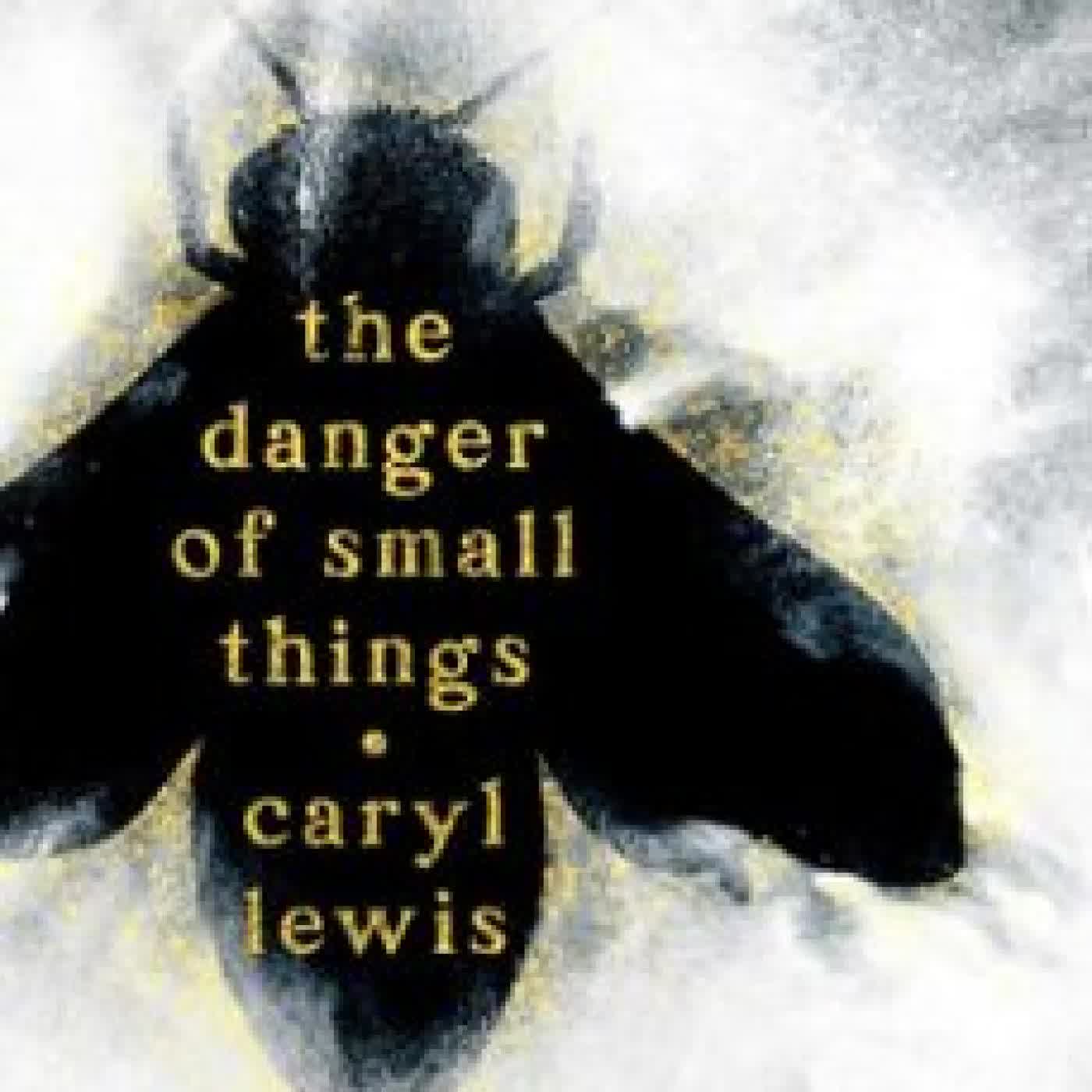 THE DANGER OF SMALL THINGS CARYL LEWIS