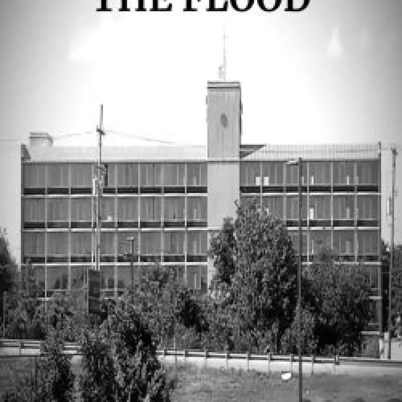 Salvaged From the Flood by Brian Paige on Iphone New Format