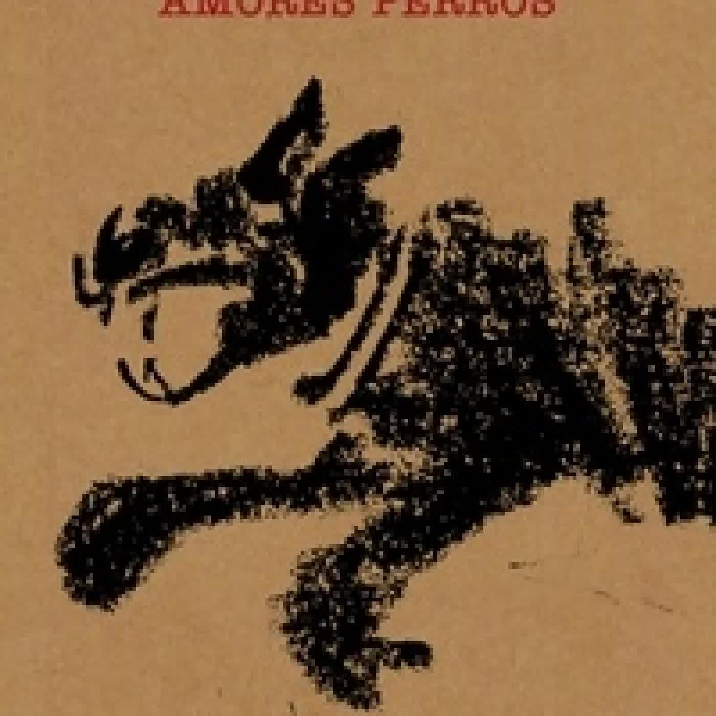 Télécharger Pdf Unleashing Amores Perros