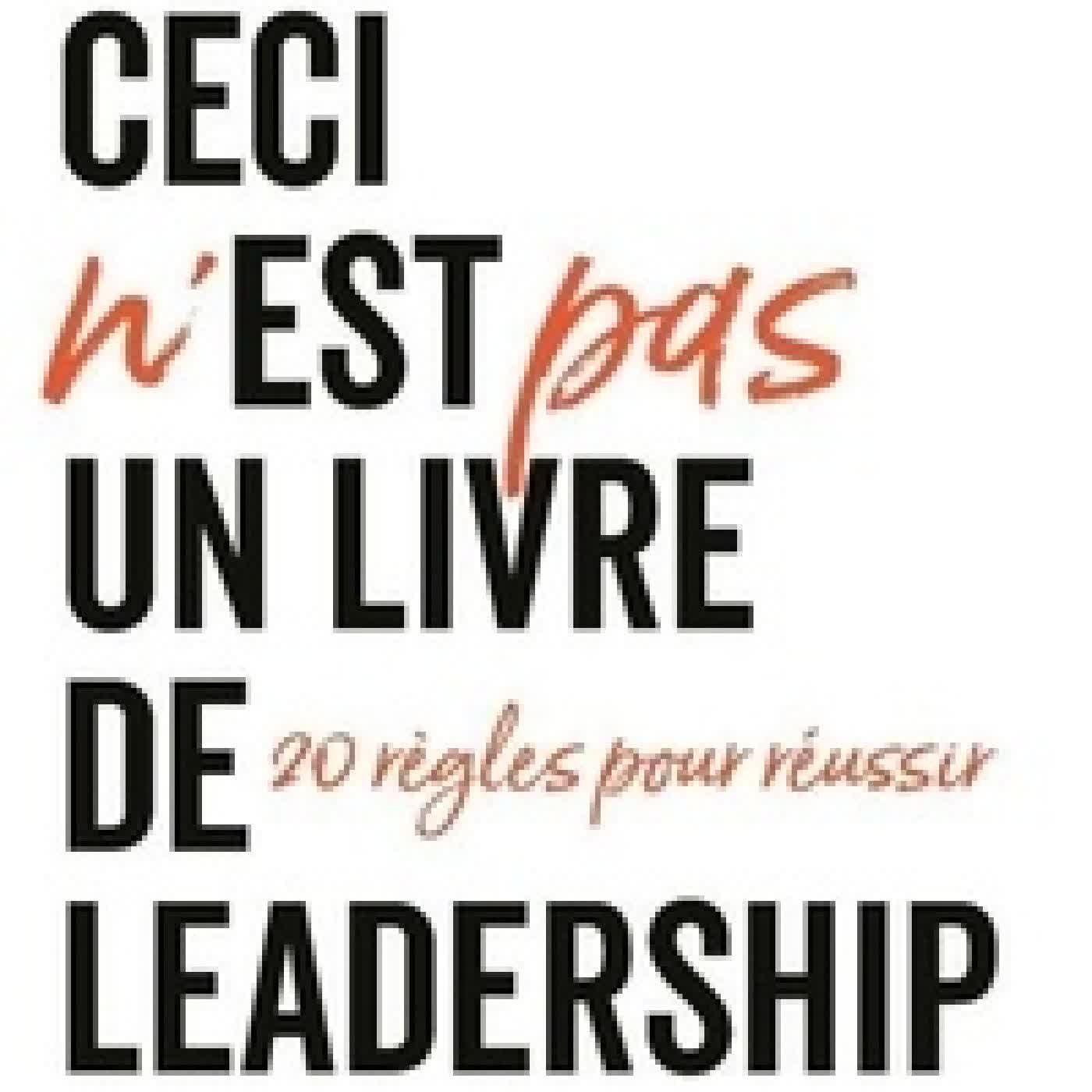 {téléchargement} Ceci n'est PAS un livre de leadership - 20 règles pour réussir
