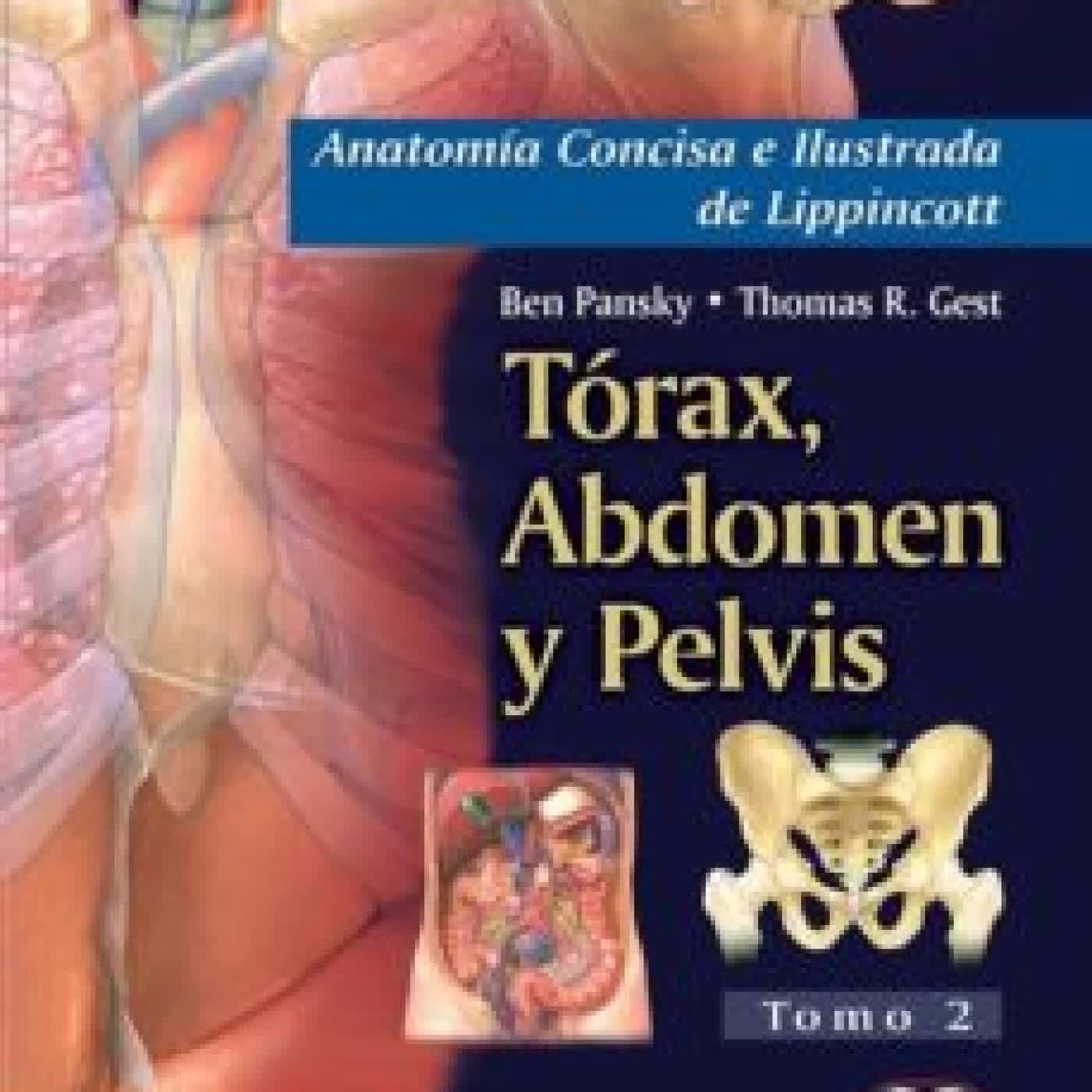 ANATOMIA CONCISA E ILUSTRADA DE LIPPINCOTT, VOL. 2: TORAX, ABDOMEN Y PELVIS