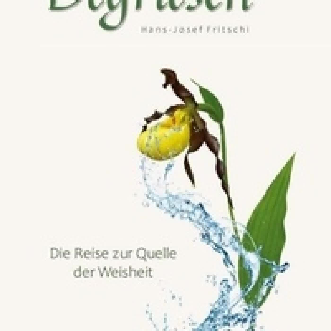 Télécharger Pdf Degriesch - Die Reise zur Quelle der Weisheit