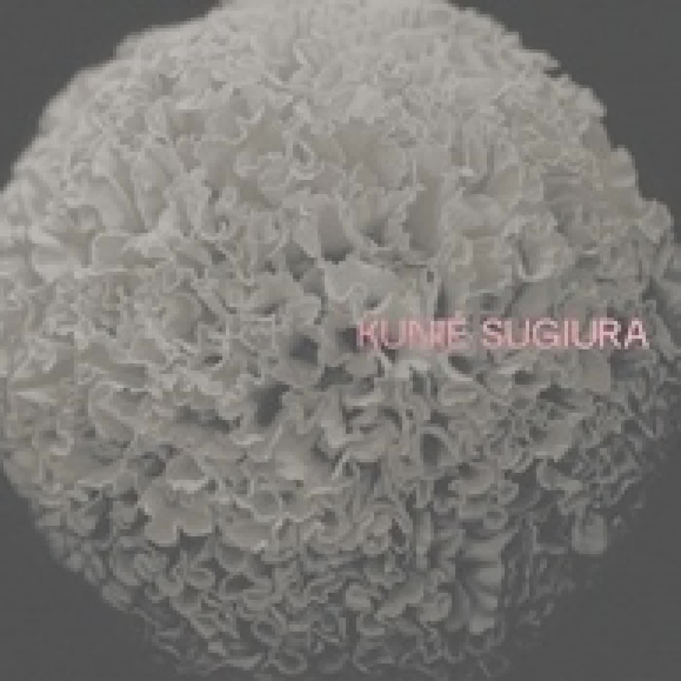 Télécharger Pdf Kunié Sugiura