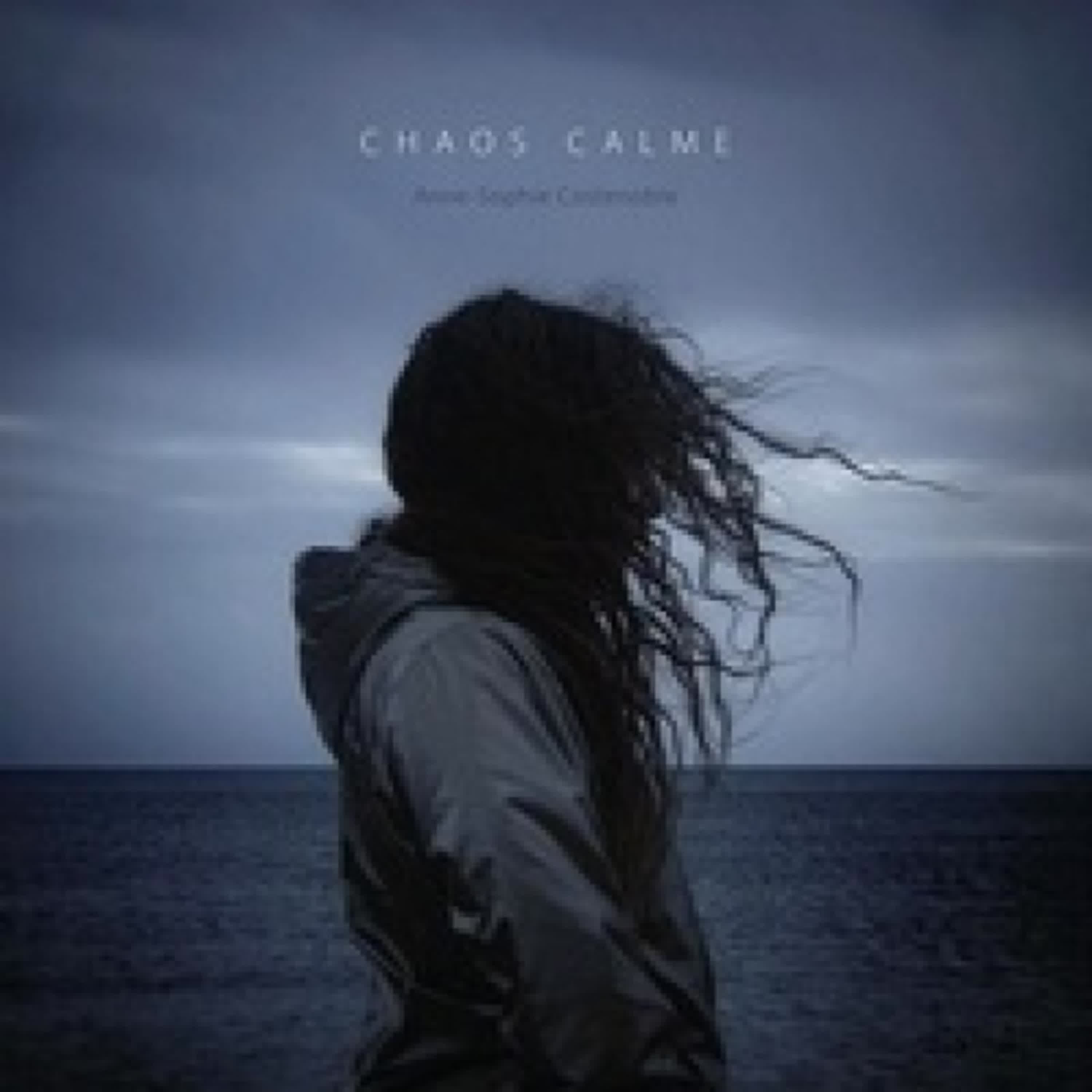 Télécharger Pdf Chaos calme