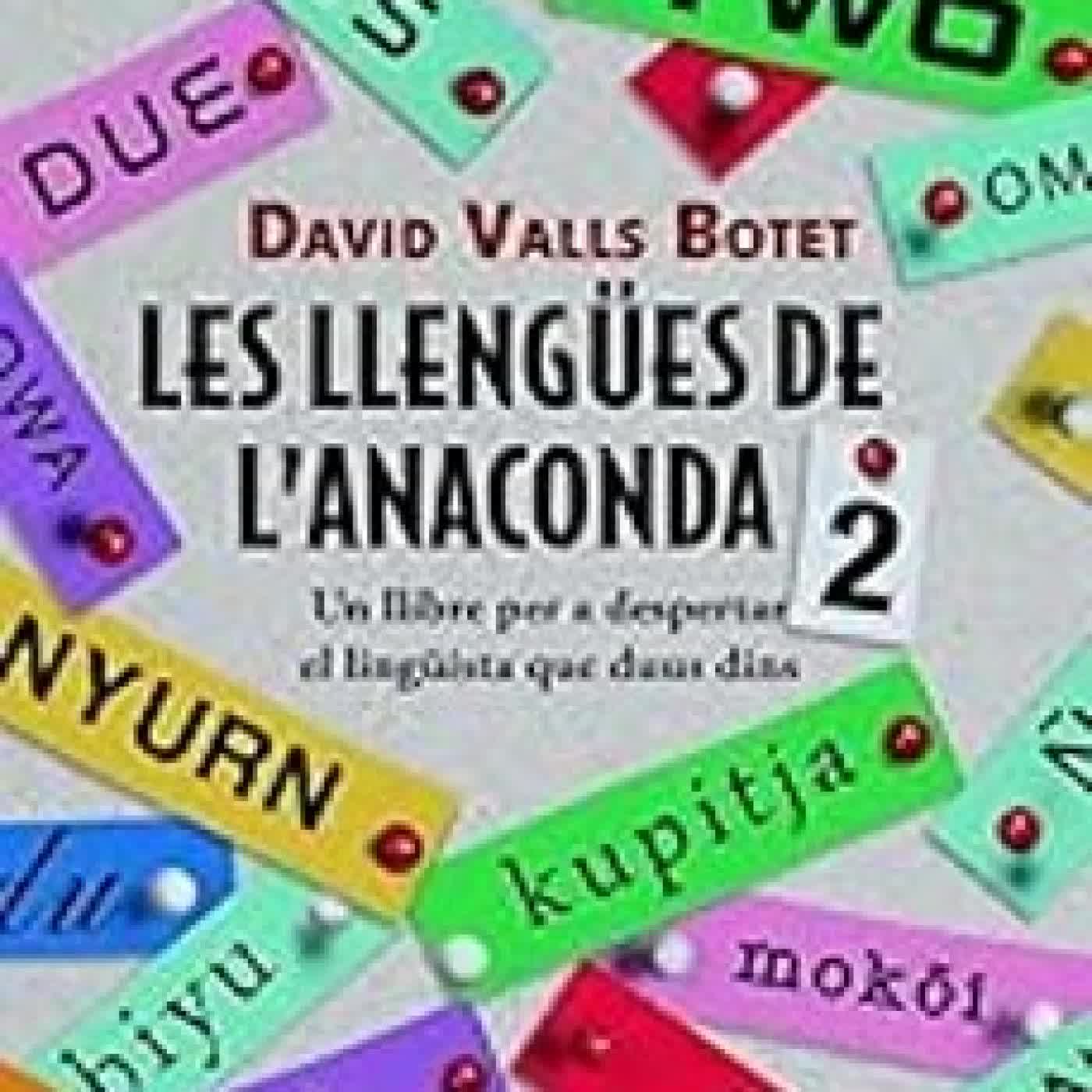 LES LLENGÜES DE L ANACONDA, 2 DAVID VALLS
