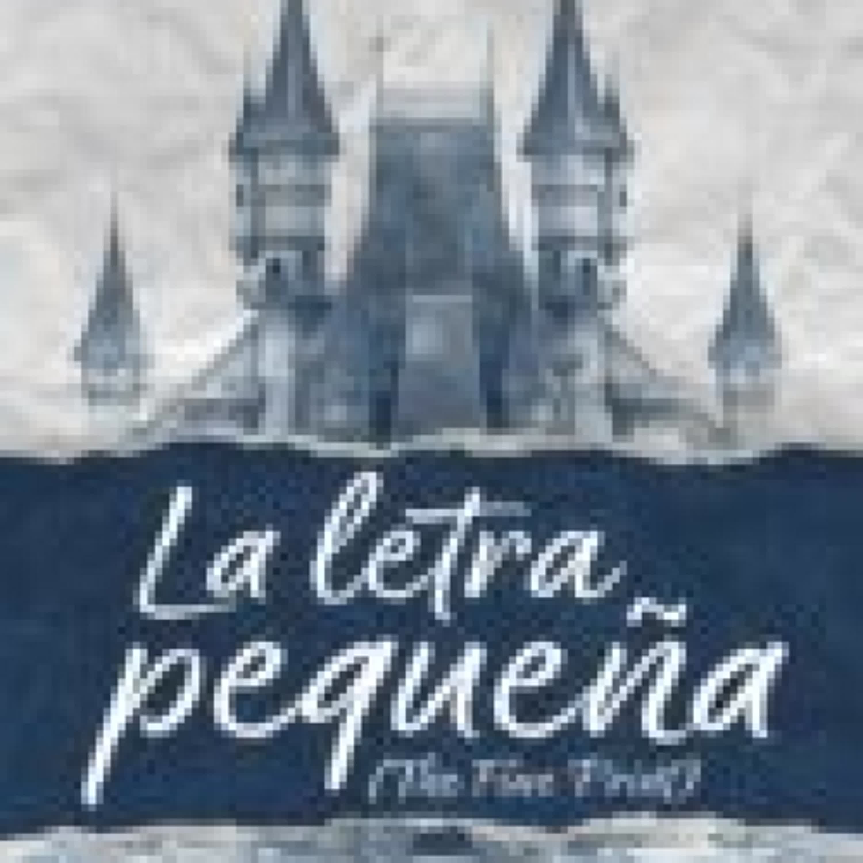 LA LETRA PEQUEÑA (THE FINE PRINT) LAUREN ASHER
