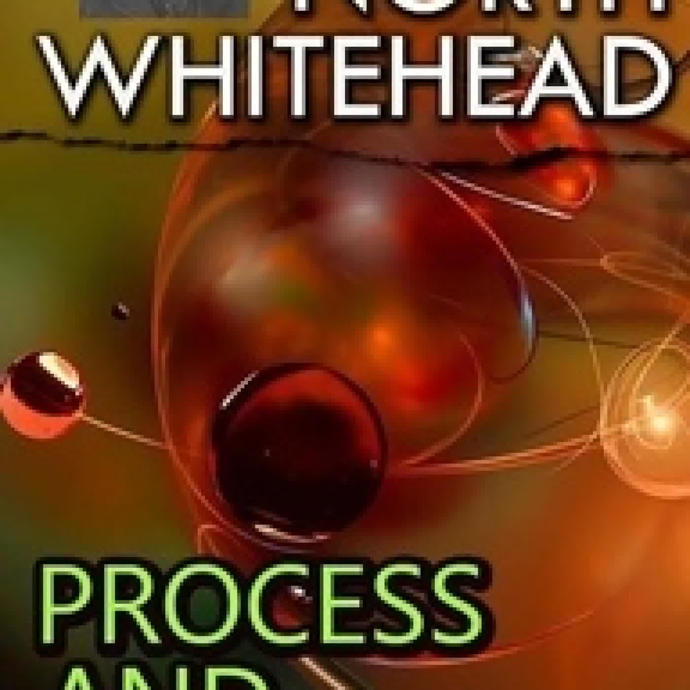 Télécharger Pdf Process and Reality. Illustrated