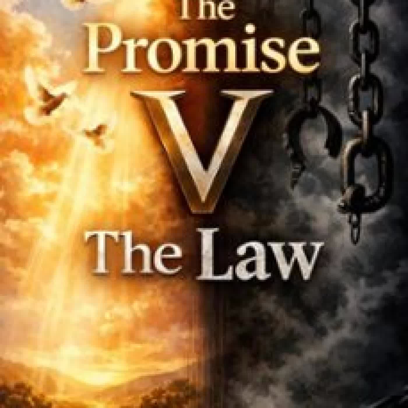THE PROMISE V THE LAW LESLIE RENDELL