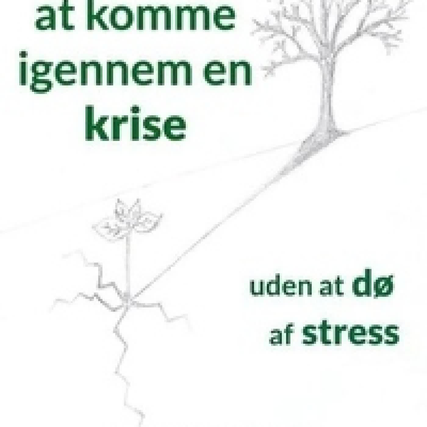 Lire en ligne : Kunsten at komme igennem en krise uden at dø af stress - En guide til at navigere igennem livskriser