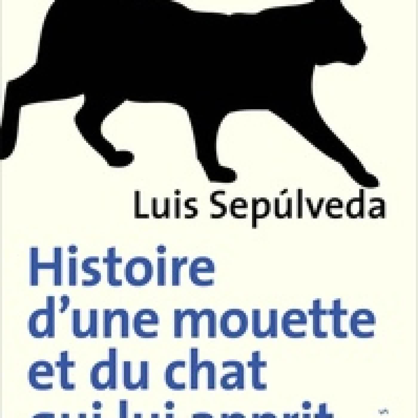 {téléchargement} Histoire d'une mouette et du chat qui lui apprit à voler