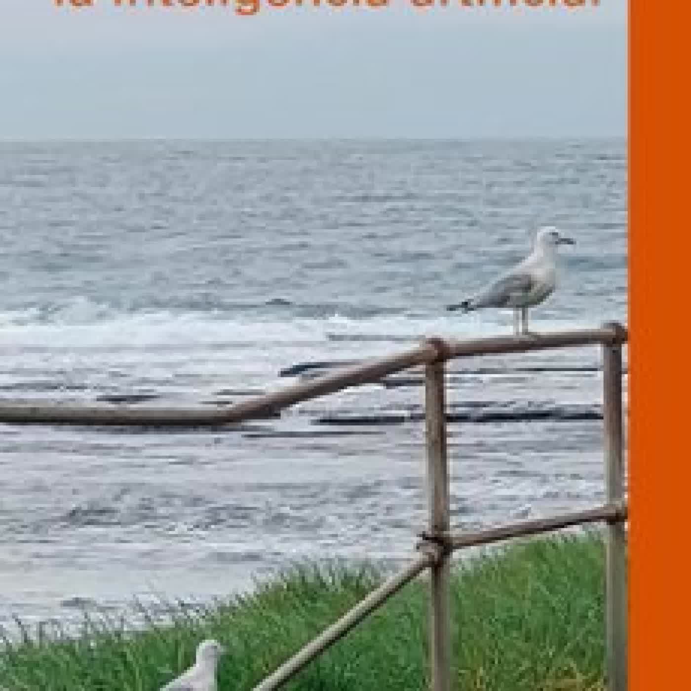 UNA TEORÍA CRÍTICA DE LA INTELIGENCIA ARTIFICIAL Daniel Innerarity