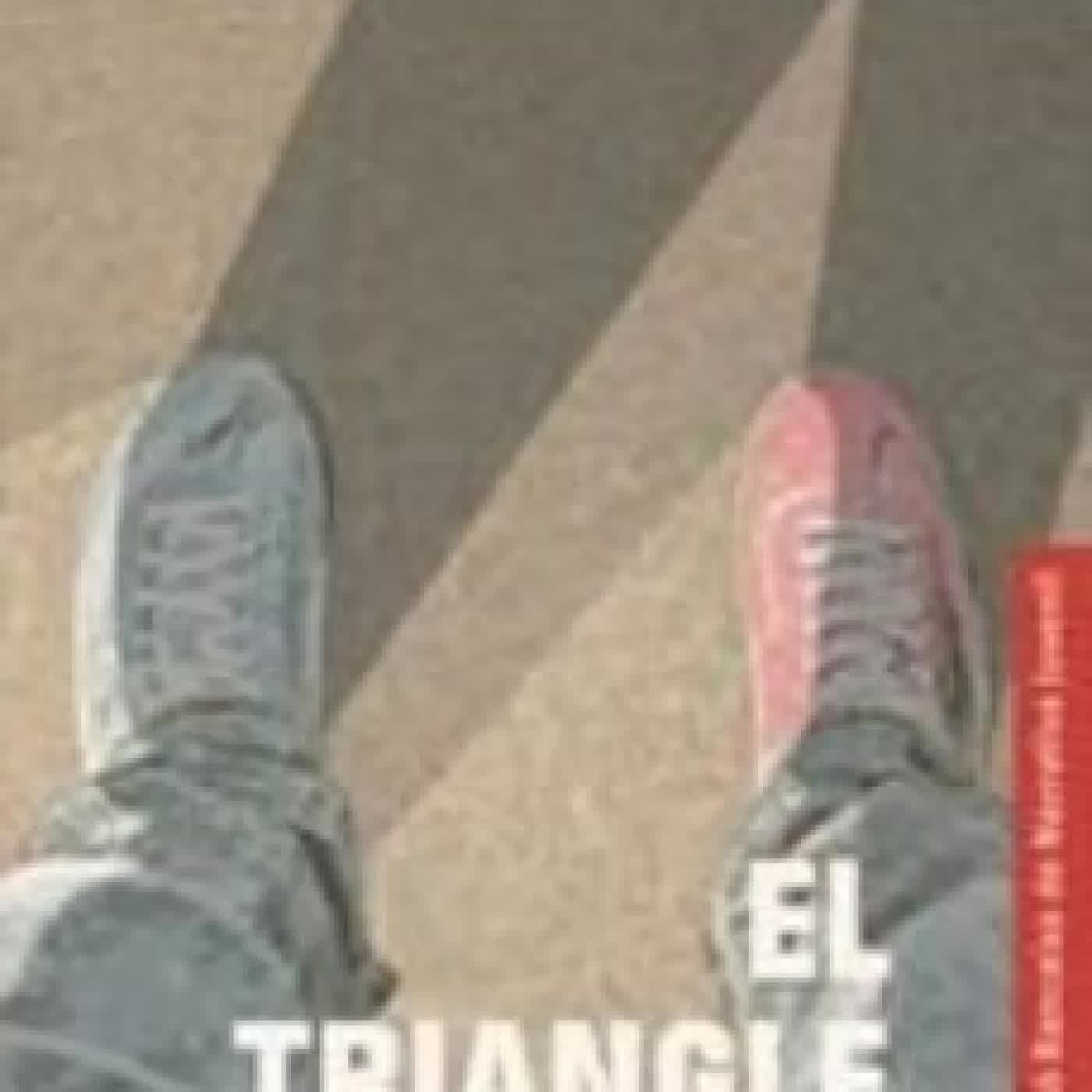 EL TRIANGLE ROSA SILVESTRE VILAPLANA