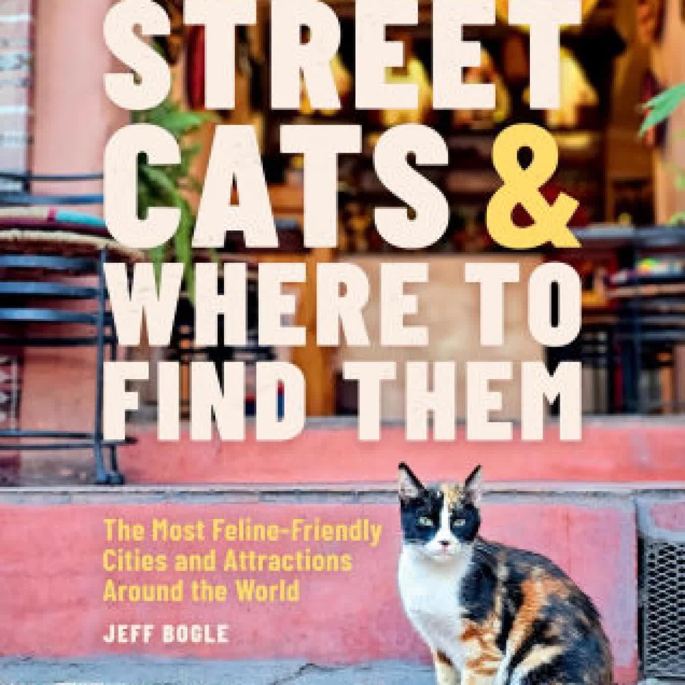 Street Cats & Where to Find Them: The Most Feline-Friendly Cities and Attractions Around the World by Jeff Bogle on Iphone New Format