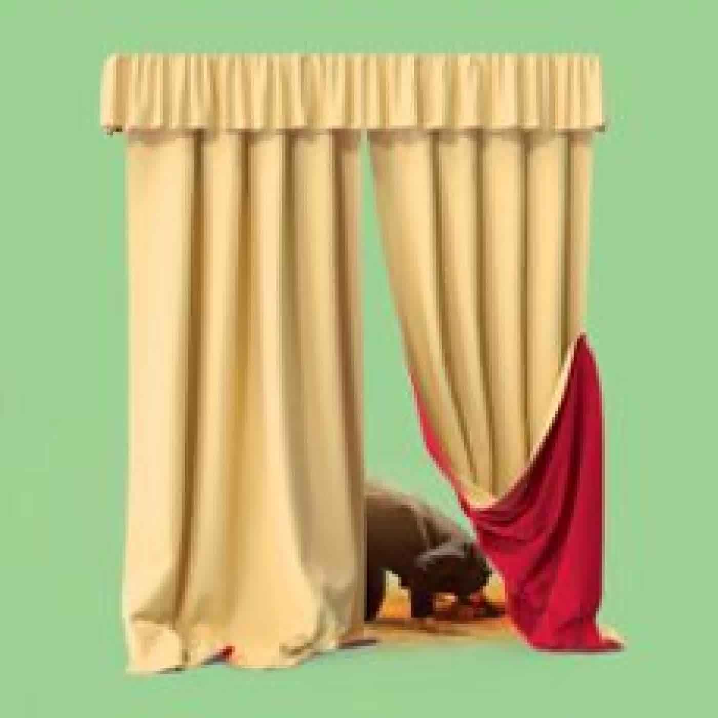 THE DISAPPOINTMENT SCOTT BROKER