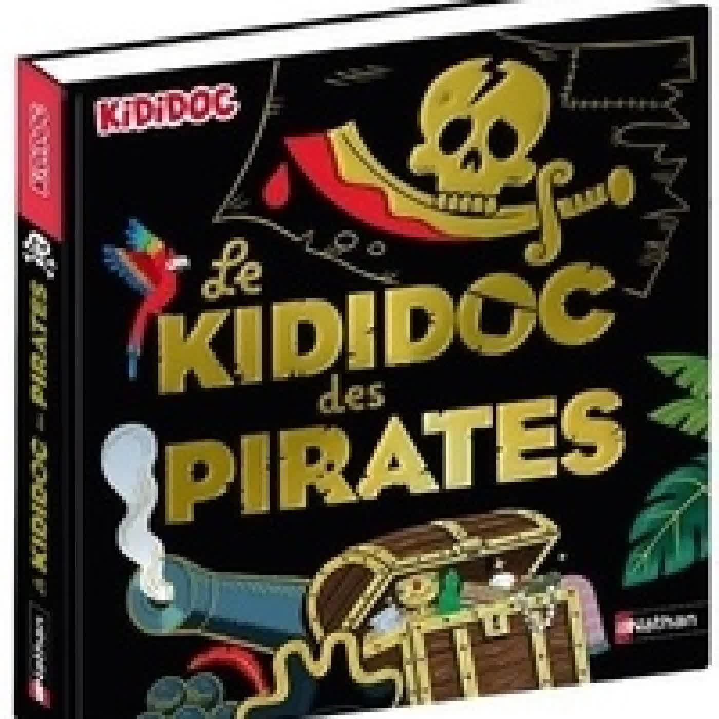 Télécharger Pdf Le Kididoc des pirates