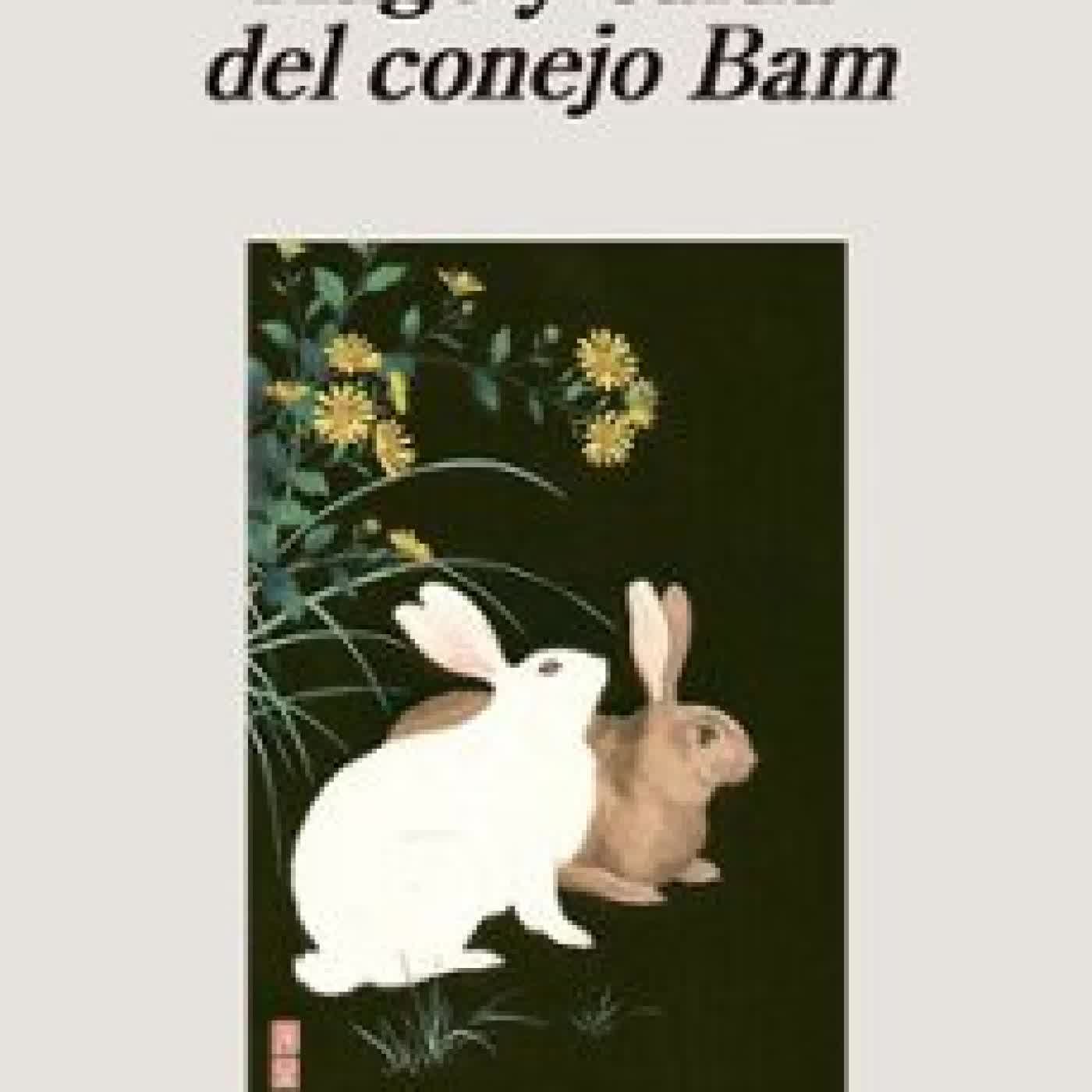 AUGE Y CAÍDA DEL CONEJO BAM Andrés Barba