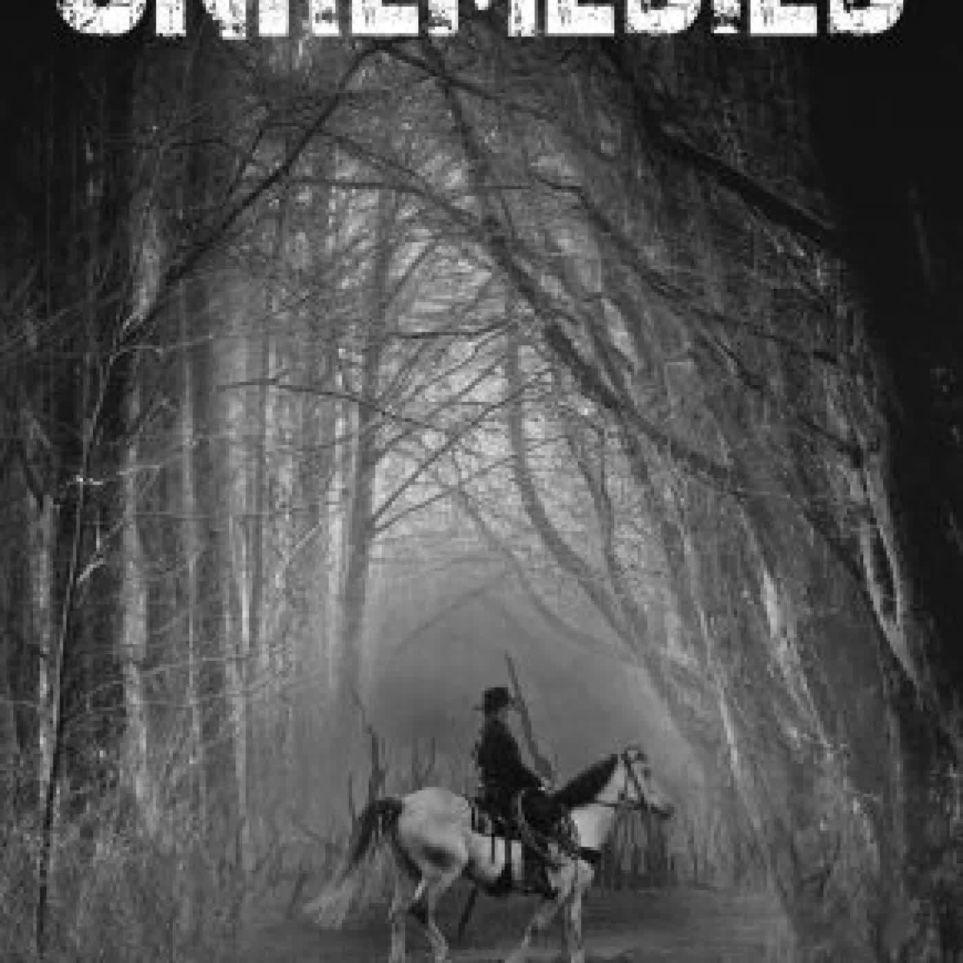 Unremedied by Carol J Roth on Iphone New Format