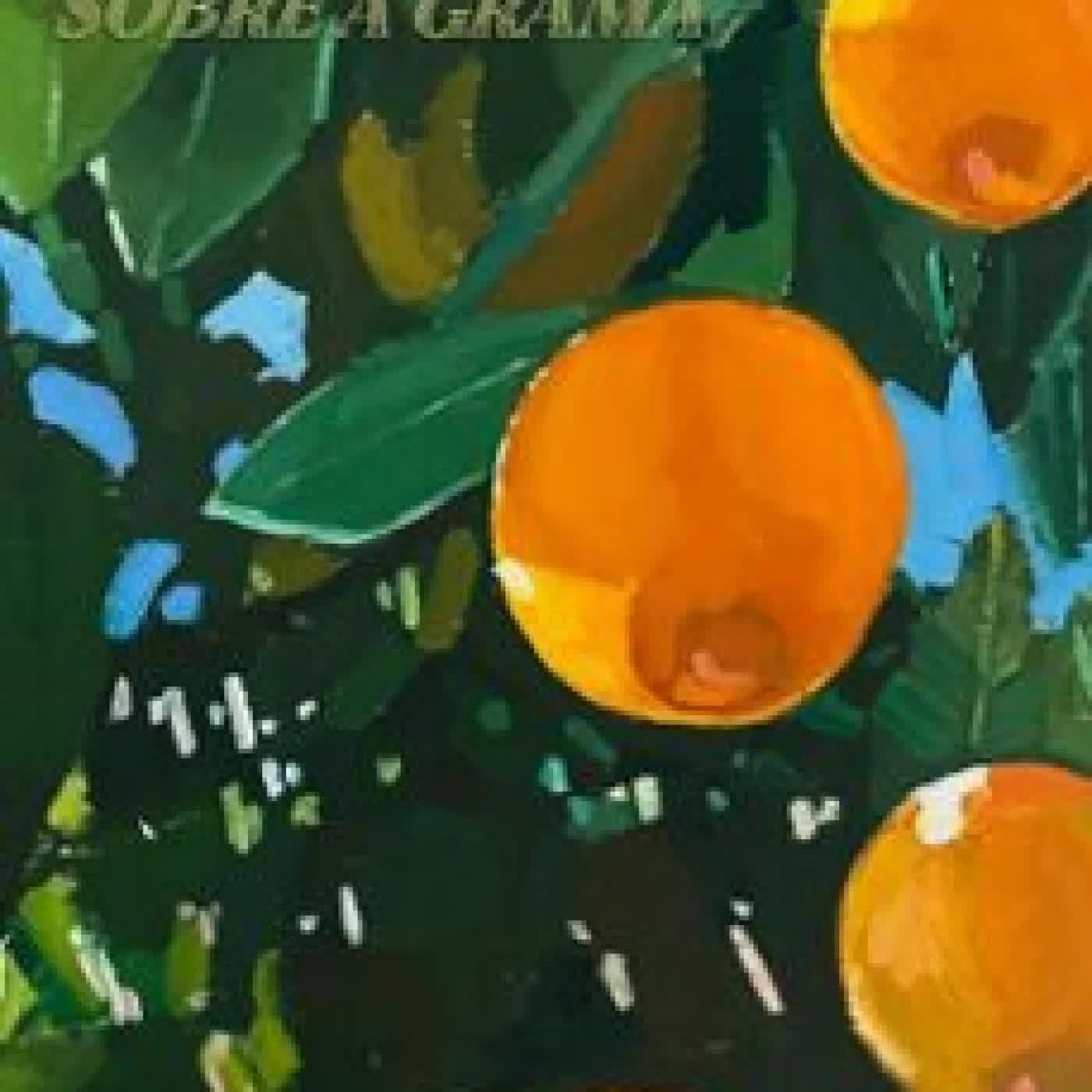 VIOLET FAZ A PONTE SOBRE A GRAMA Lana del Rey