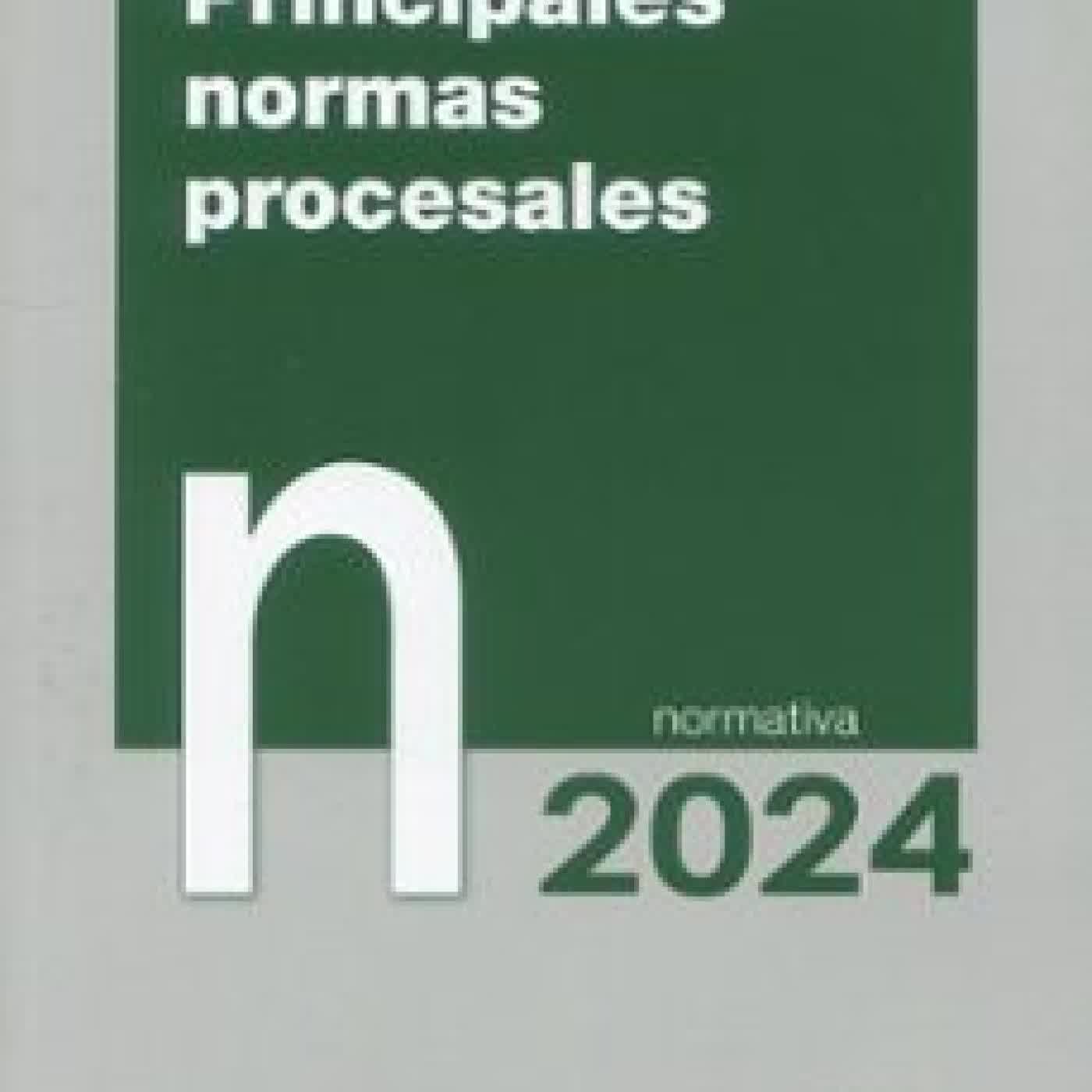 PRINCIPALES NORMAS PROCESALES. NORMATIVA 2024 Varios autores
