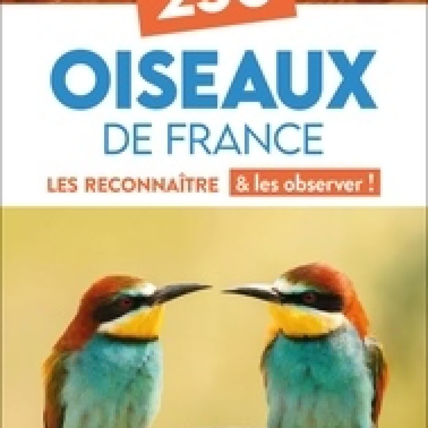 {téléchargement} 250 oiseaux de France - Les reconnaître & les observer !