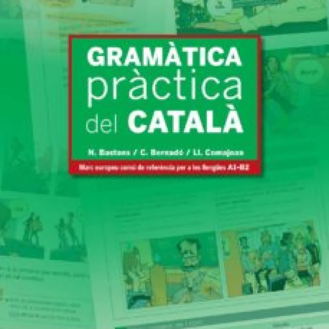 GRAMATICA PRACTICA DEL CATALA (A1-B2) NURIA BASTONS VILALLONGA, CRISTINA BERNARDO FERNANDEZ