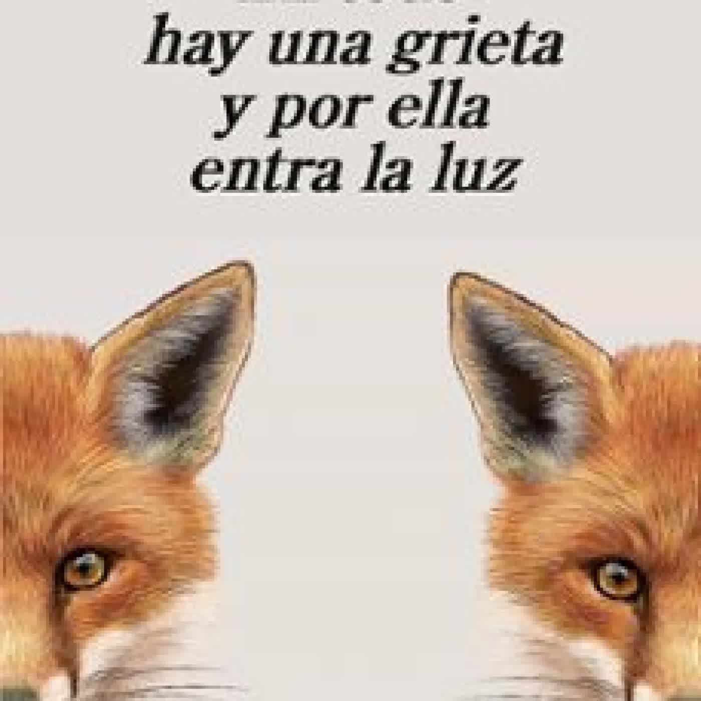 EN TODO HAY UNA GRIETA Y POR ELLA ENTRA LA LUZ Patricio Pron