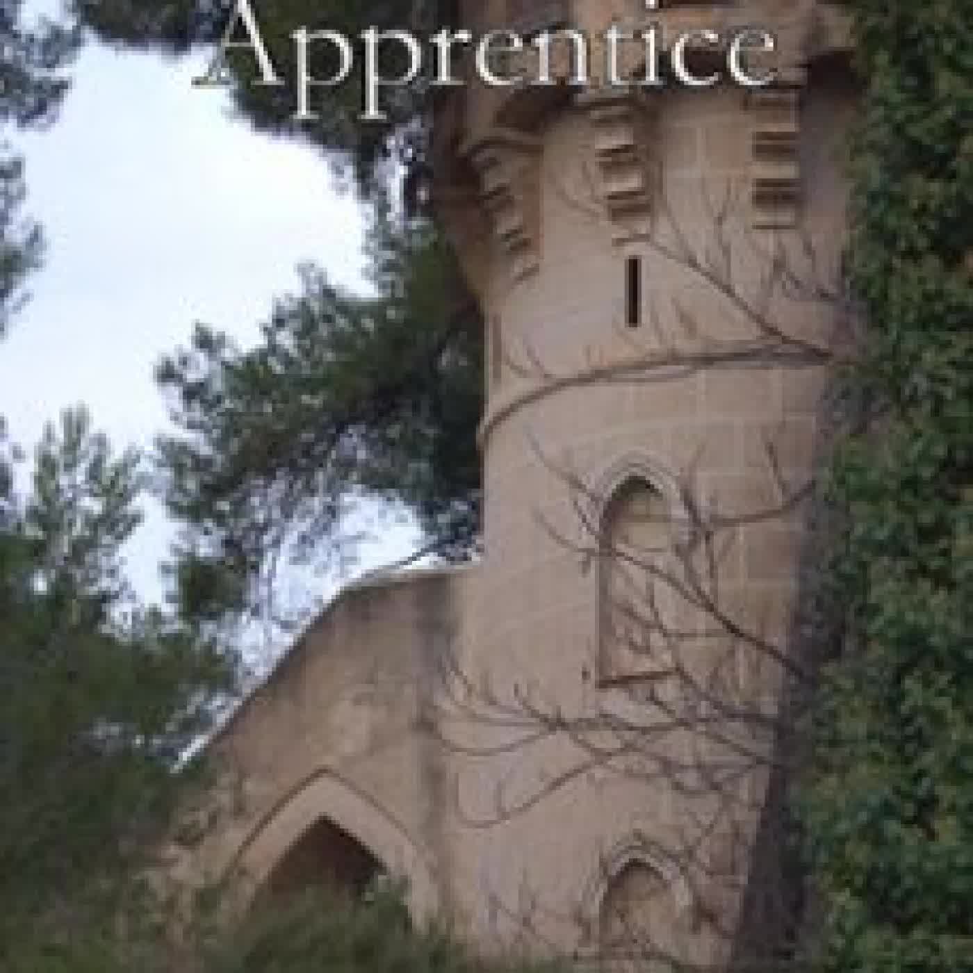 THE SUPERHERO'S APPRENTICE CASSANDRA MORPHY