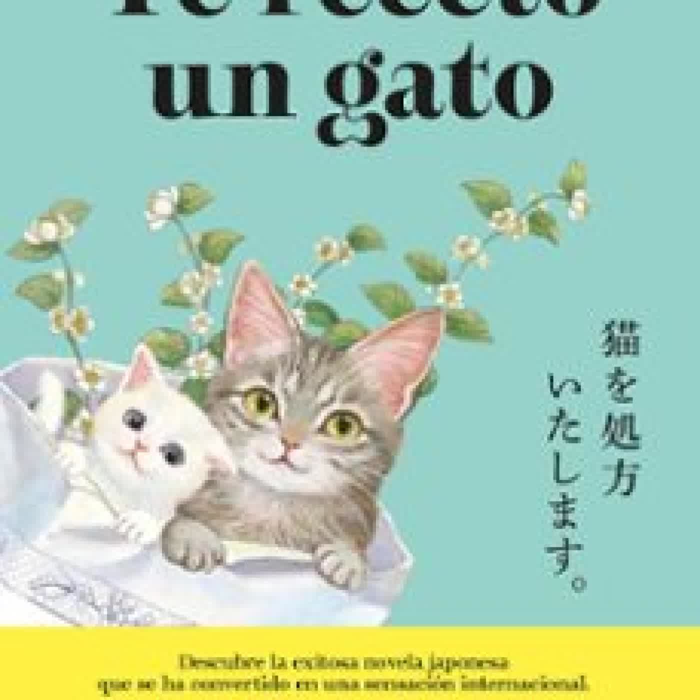 TE RECETO UN GATO Syou Ishida