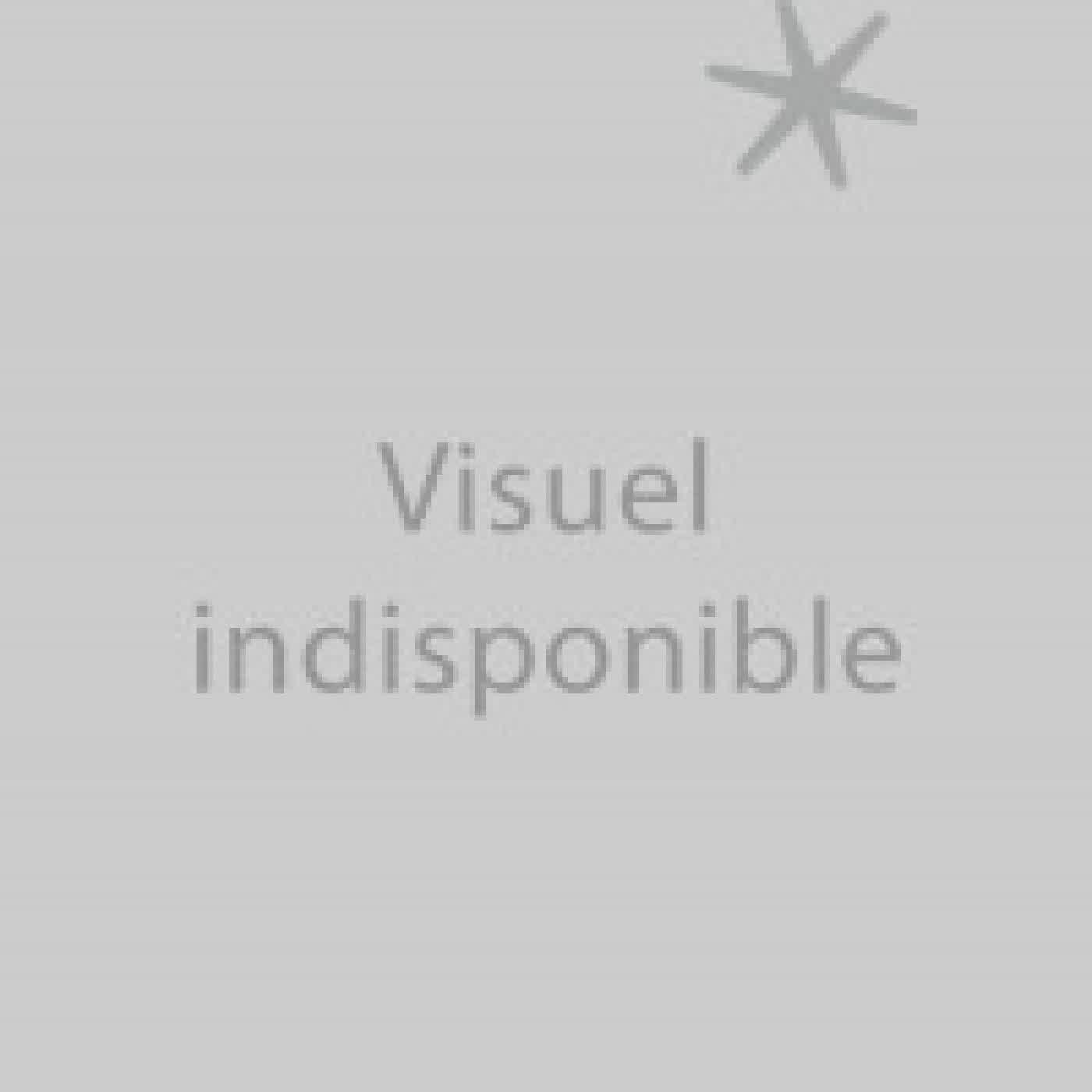 Lire en ligne : Les amants de Casablanca