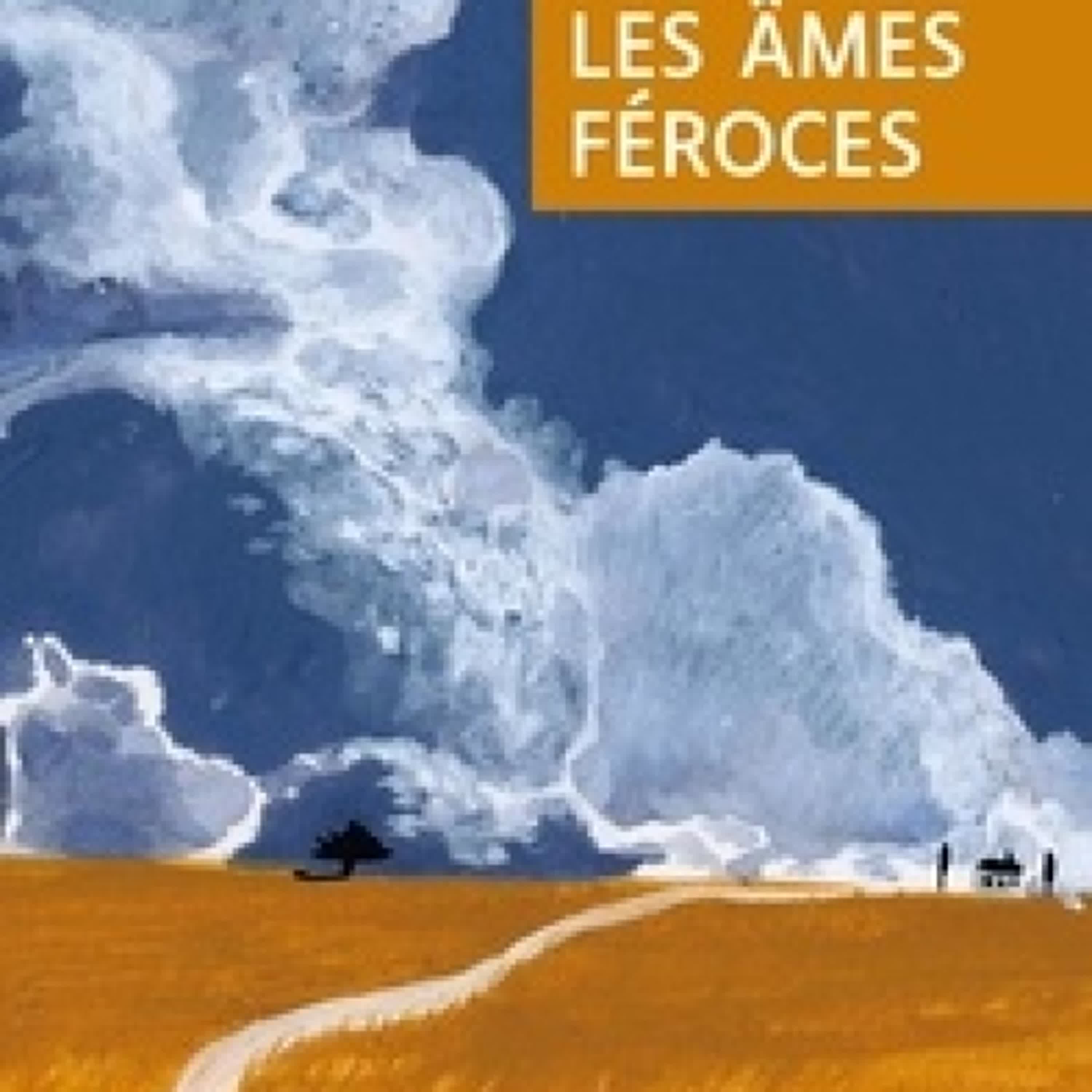 Lire en ligne : Les âmes féroces